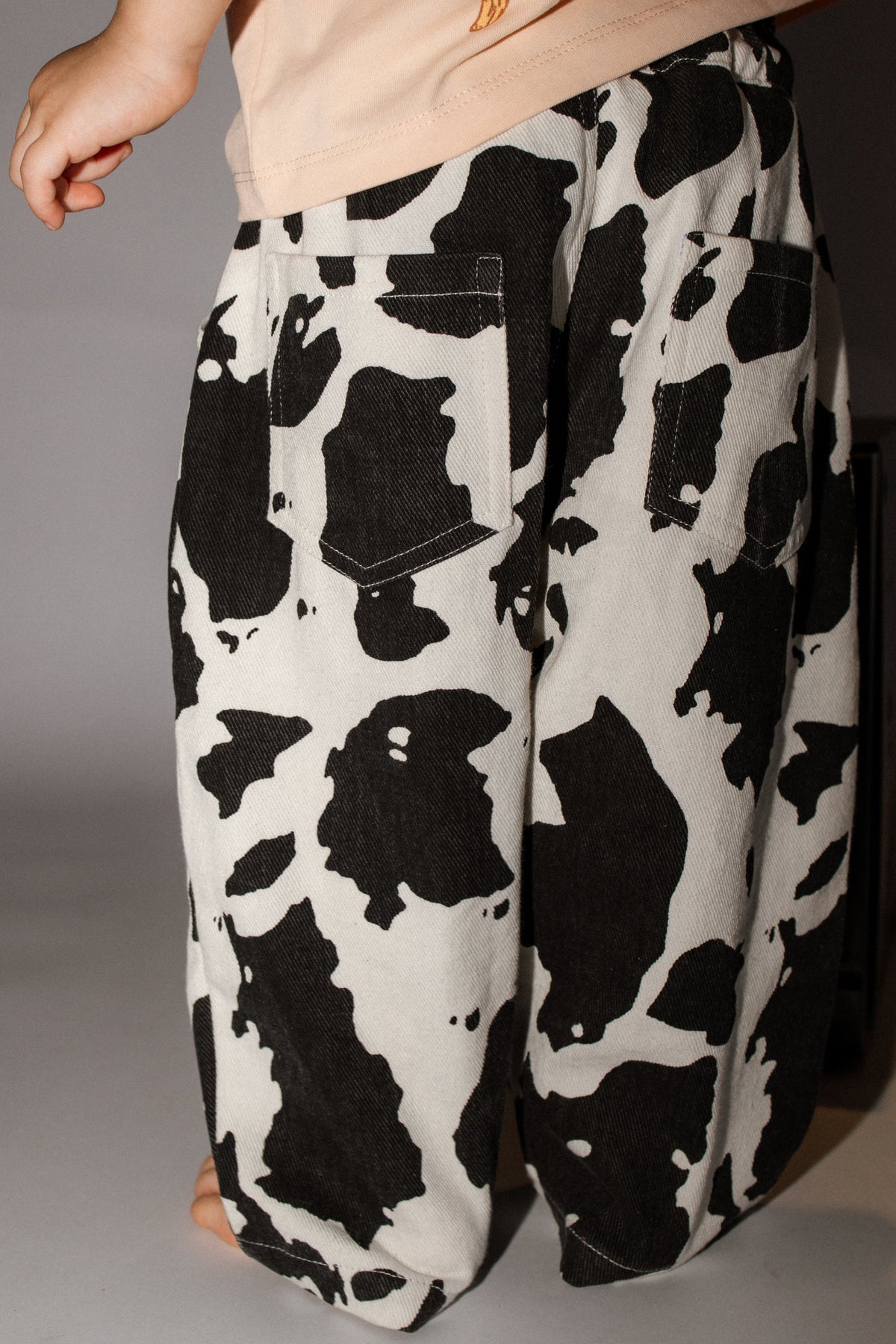WILD FARM PANTS